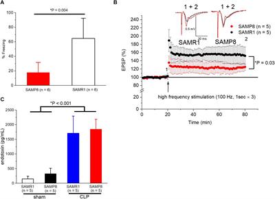 Interleukin-1β Modulates Synaptic Transmission and Synaptic Plasticity During the Acute Phase of Sepsis in the Senescence-Accelerated Mouse Hippocampus